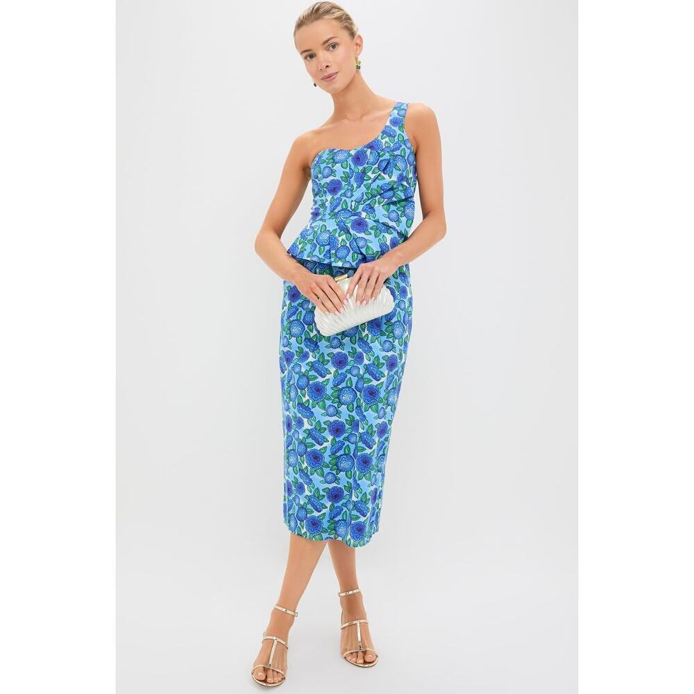 DE LORETA Santos Cielo Dress NWT M Tuckernuck $552 Retail - Picture 4 of 6